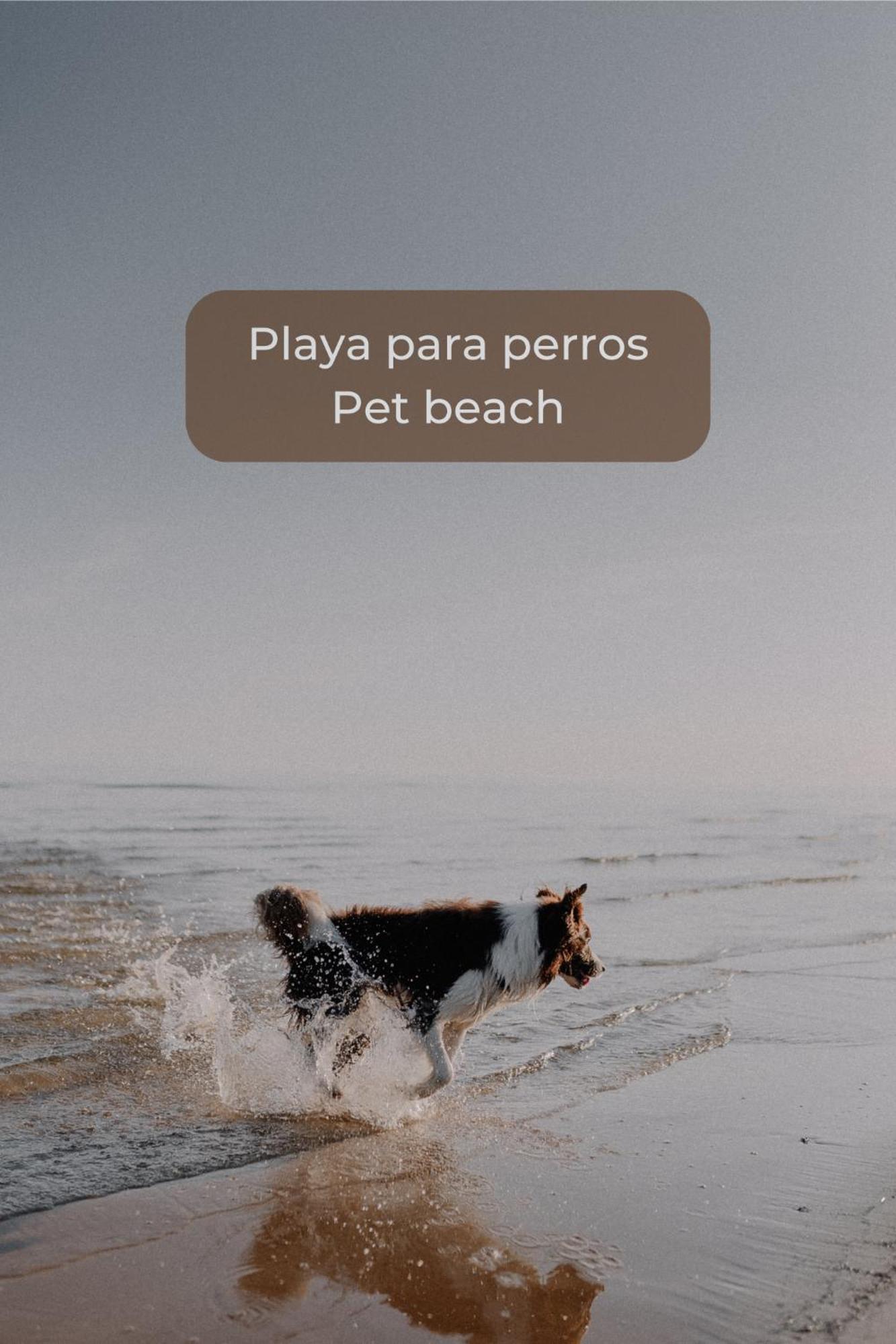 Maracuyá By Lovely Corralejo